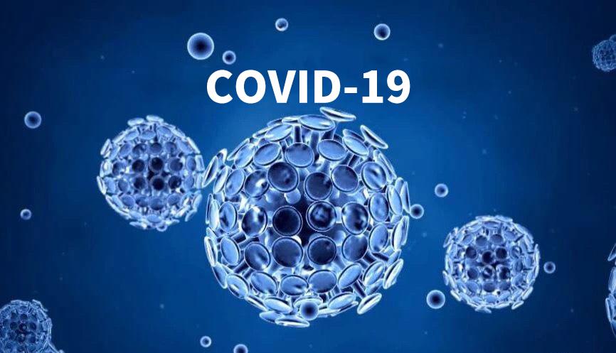 “18 +1” Opiniones sobre la lucha contra el virus COVID-19
