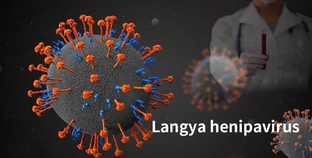 Los científicos descubrieron el henipavirus de Langya
