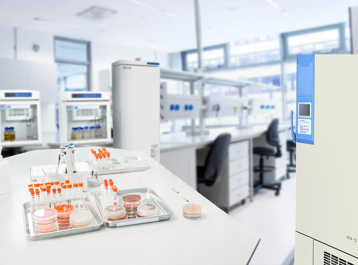 ¿Dónde y cómo se almacenan las muestras biológicas o de laboratorio?
