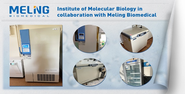 Instituto de Biología Molecular en colaboración con Meling Biomedical
